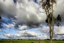 开眼角双眼皮手术一般需要多少钱,开眼角做双眼皮价格